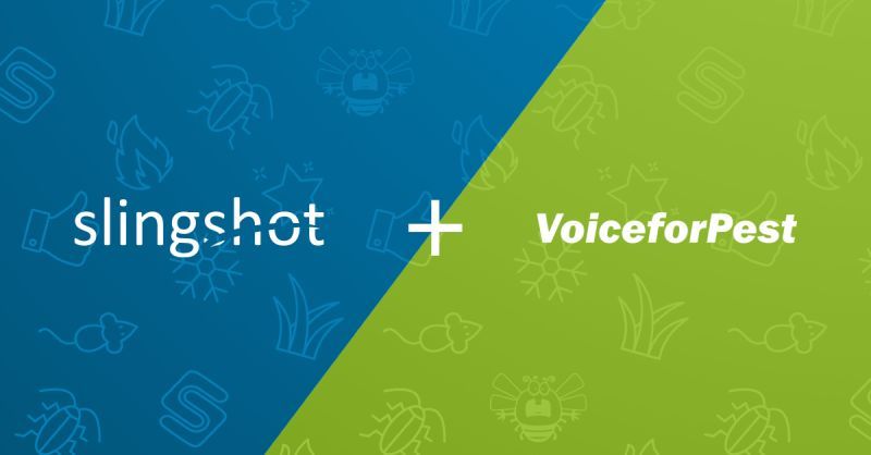 Customer Service Webinar