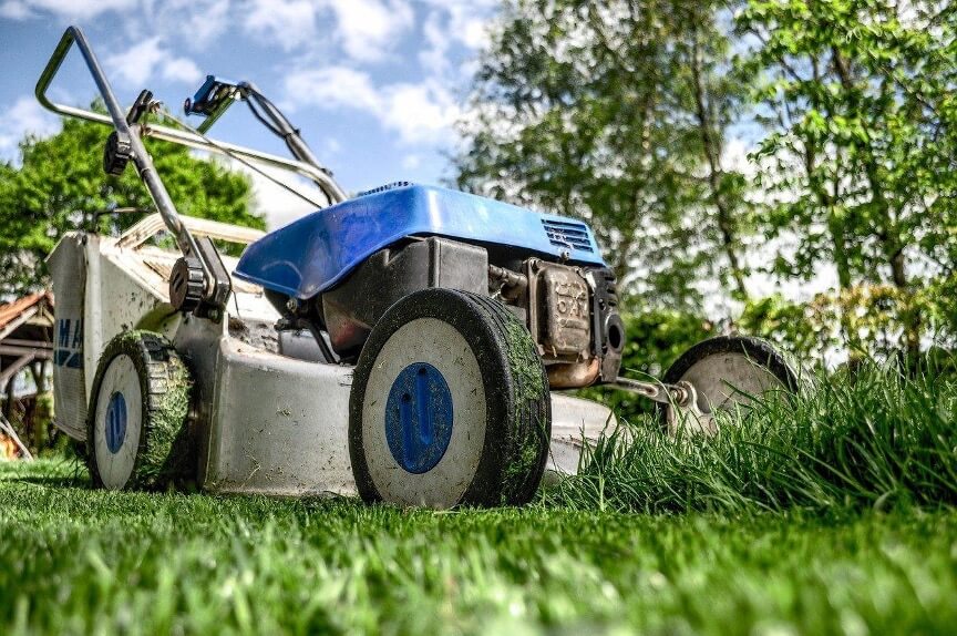 Summer Checklist Lawn