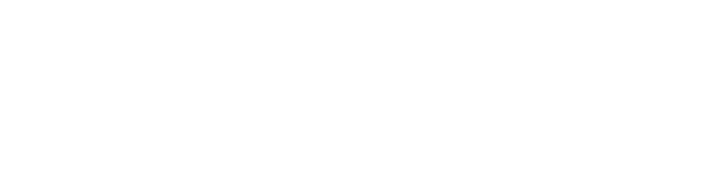Slingshot