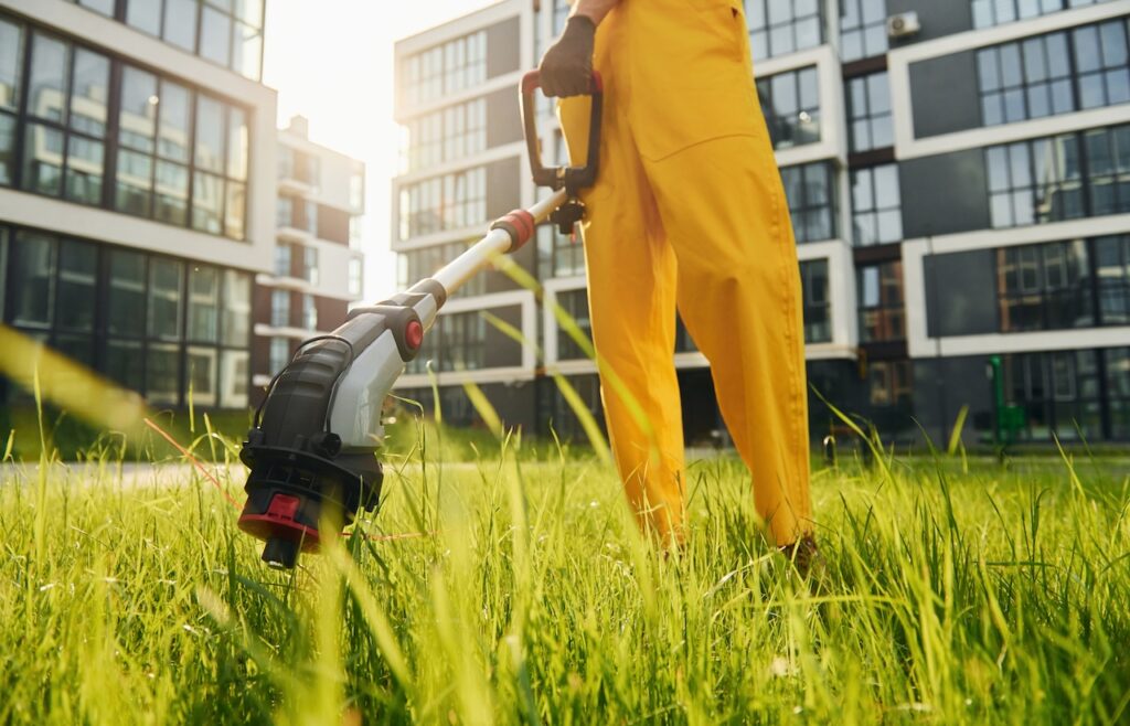 lawn care